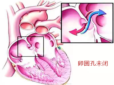 微信图片_20210526163915.jpg